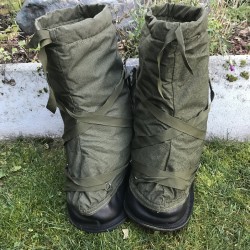 Бахилы арктические Англия, Олива