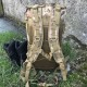 Малый штурмовой рюкзак . Multicam  . 35л.
