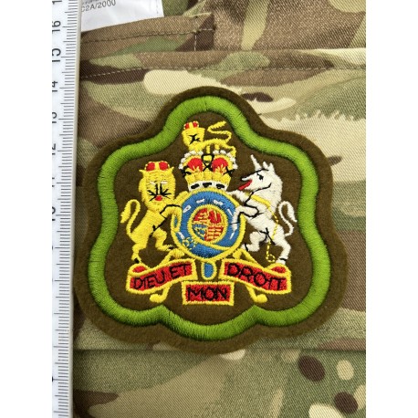 Шеврон Warrant Officer Class 1(Уорент-офицер 1 класса. Прапорщик) олива. салатовая полоса.