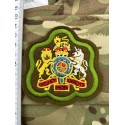 Шеврон Warrant Officer Class 1(Уорент-офицер 1 класса. Прапорщик) олива. салатовая полоса.