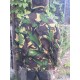 Куртка Голландия, короткая, мембрана GORETEX, DPM, б/у.
