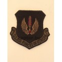 Шеврон US